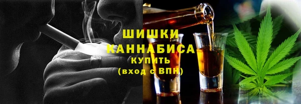 spice Богородицк
