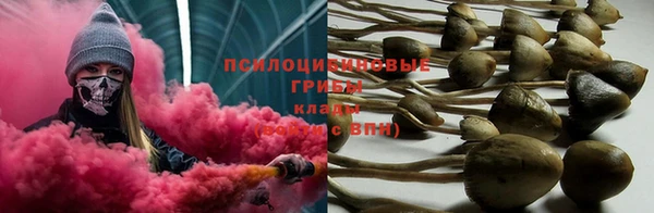 MDMA Богданович