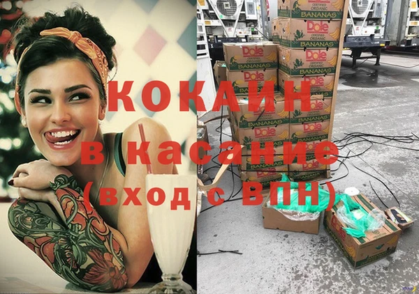 стаф Белокуриха