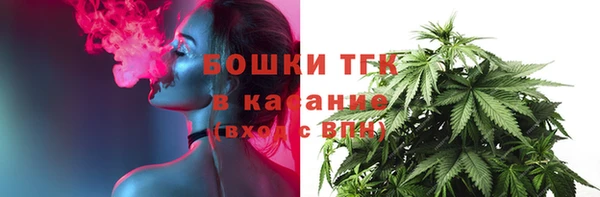 стаф Белокуриха