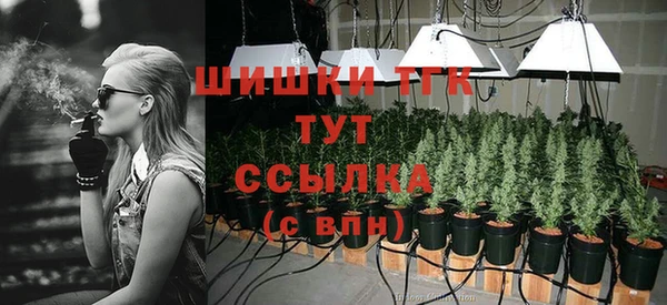 стаф Белоозёрский