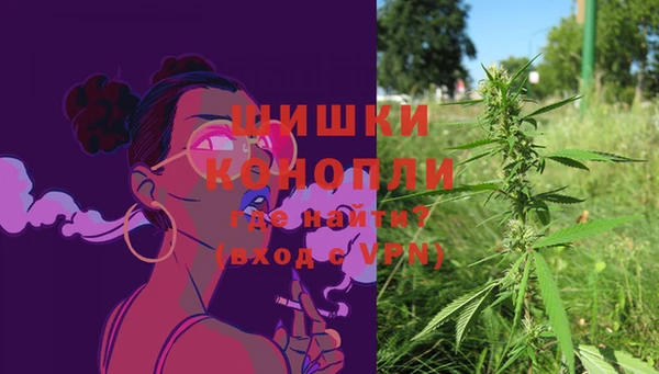 стаф Белокуриха