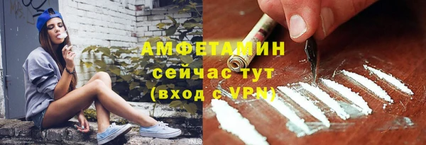 spice Богородицк