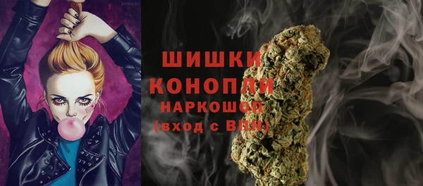стаф Белокуриха